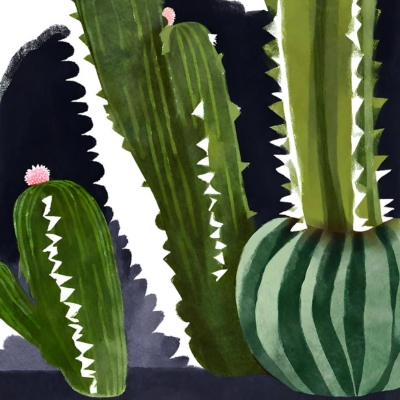Nachhaltige Praktiken im Umgang mit San Pedro Kaktus und ihr ökologischer Fußabdruck