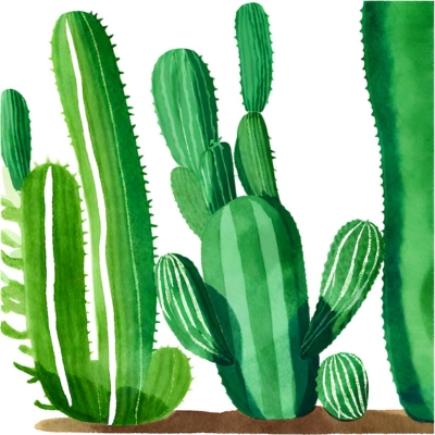 Vergleich des ökologischen Fußabdrucks von San Pedro Kaktus mit anderen Pflanzen